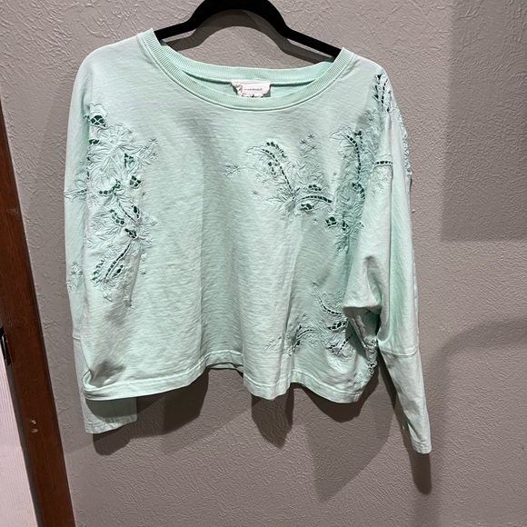 Anthropologie Mint Green Embroidered Sweatshirt Oversized Size M EUC Detailed - Picture 2 of 8